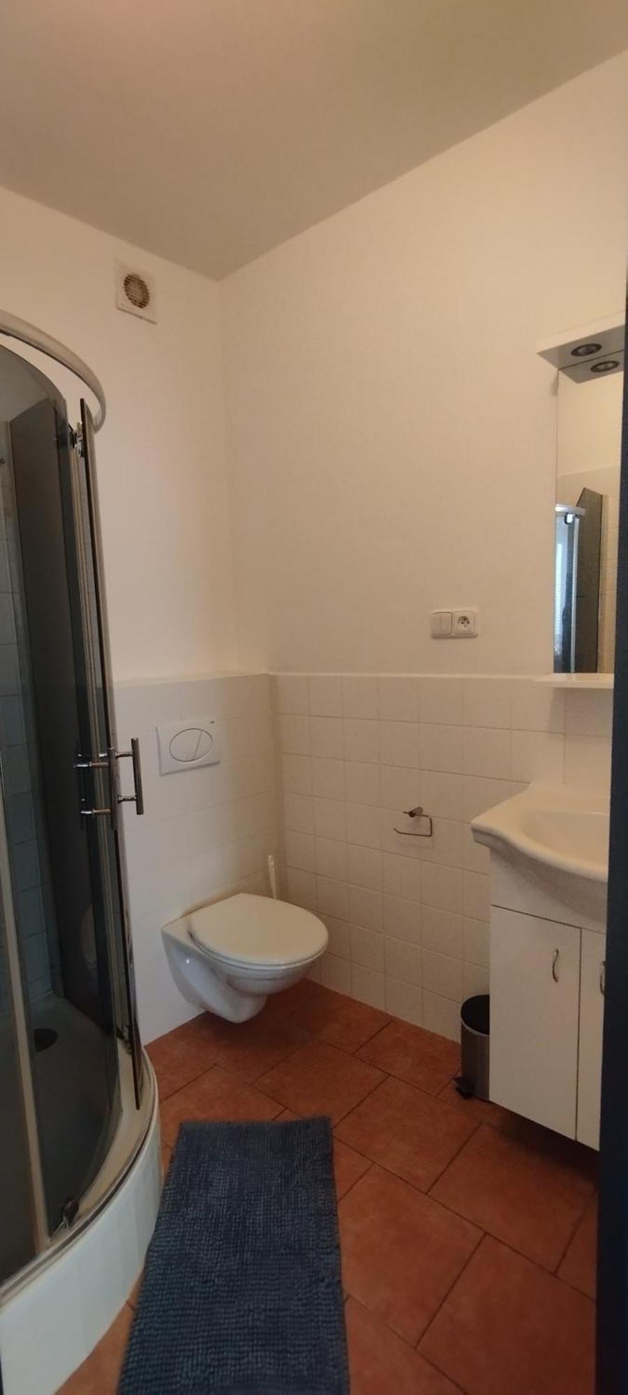 Ubytovani Velky Tynec 376 חדר תמונה